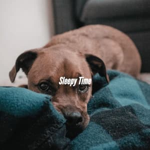 Sleepy Time - Cafe BGM