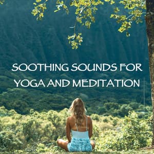 Soothing Sounds for Yoga and Meditation - Bali Vibes