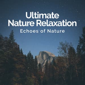 Ultimate Nature Relaxation - Echoes Of Nature