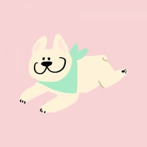 Music for Dog Meditations - Dog Music Therapy