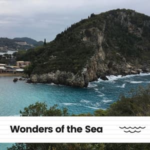 Wonders of the Sea - Ocean Sound Machine