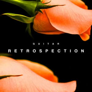 Retrospection - Guitar