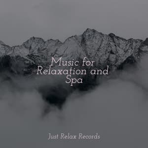 Music for Relaxation and Spa - Massage Therapy Music