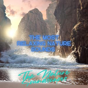 The Most Relaxing Nature Sounds - The Nature Soundscapes