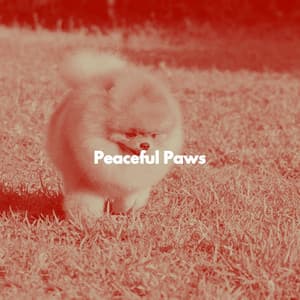 Peaceful Paws - Relajado Musica Relajante para Perros
