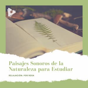 Paisajes Sonoros de la Naturaleza para Estudiar - Relajación: Por Rosa