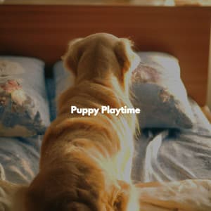 Puppy Playtime - Bossa Nova