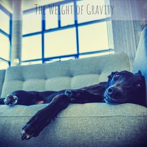 The Weight of Gravity - Dog Music