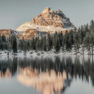 25 Songs With Nature: Sacred Groves - Baltic Nature Sounds