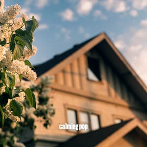 calming pop - Study Music For Concentration