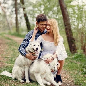 Rainforest's Cricket Serenade: Ambient Music for Connecting with Dogs - Calm Rain Music