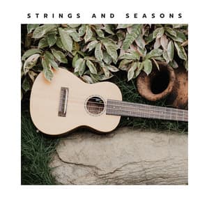 Strings and Seasons - Jazz Guitar Music Ensemble
