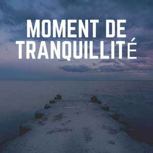 Moment de Tranquillité - Musique Douce Ensemble