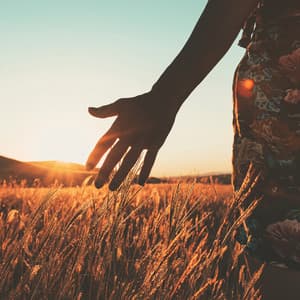 Lofi Chill for Complete Relaxation Moments - Lofi Masters