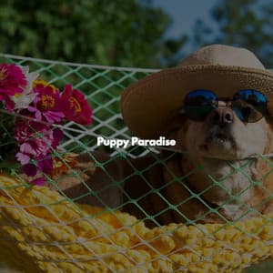 Puppy Paradise - Coffee Shop Playlist