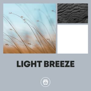 Light Breeze - Rainforest Sounds