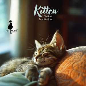 Kitten Chakra Meditation: Reiki Healing for Your Cat - Pet Music Academy