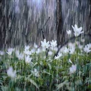 Gentle Rains - White Noise Nature Sounds Baby Sleep