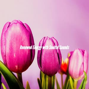 Renewed Energy with Soulful Sounds - Bossa Nova