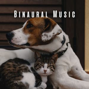Binaural Music: Gentle Vibrations for Pets - Binaural Boy