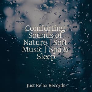 Comforting Sounds of Nature | Soft Music | Spa & Sleep - Study Hard