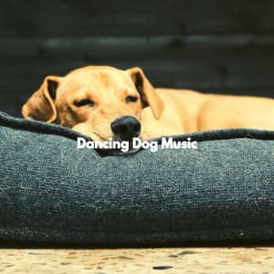 Dancing Dog Music - Music For Your Dog