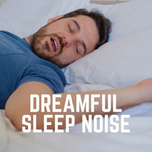 Dreamful Sleep Noise - Deep Sleep Brown Noise