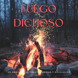 Fuego Dichoso: Un Ambiente De Pura Serenidad Y Relajación - Sonidos de fuego de la naturaleza mística