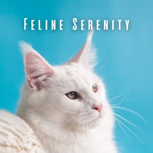 Feline Serenity: Binaural Ocean Waves for Cats - Relaxing Cat Music Therapy