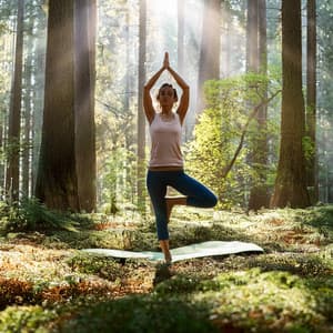 Echoes Of Tranquility: An Orchestra For Deep Meditation - Lee Rosangela