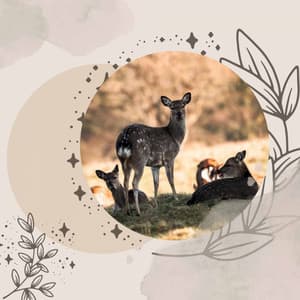 Background Music - Relaxing Days - Vintage Cafe Vintage