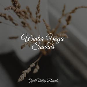 Winter Yoga Sounds - Musica Para Dormir y Sonidos de la Naturaleza