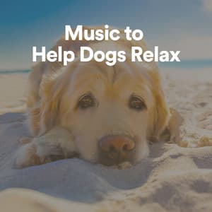 Music to Help Dogs Relax - Calm Doggy