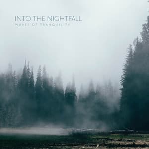 Into The Nightfall - Waves of Tranquility