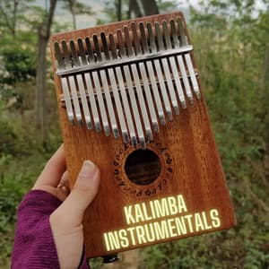 Kalimba Instrumentals - Kalimba Lullaby