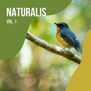 2022 Naturalis Vol. 1 - 101 Nature