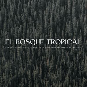 El Bosque Tropical: Sonidos Serenos De Corrientes De Ríos Para Relajarse Al Instante - Grabaciones de campo de la naturaleza