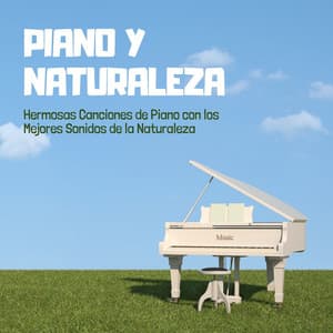 Piano y Naturaleza: Hermosas Canciones de Piano con los Mejores Sonidos de la Naturaleza - Descansa