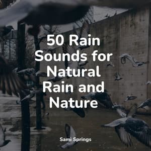 50 Rain Sounds for Natural Rain and Nature - Música para Relaxar Maestro