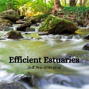 Efficient Estuaries: Chill Music Water Work - Supernatural Brainwave Power