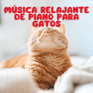 Música Relajante De Piano Para Gatos - Relajación de piano definitiva