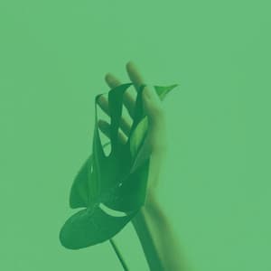 Music for Devoted Inspiration - Coffee House Jazz