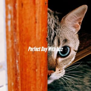 Perfect Day With Jazz - Evening Jazz Chill