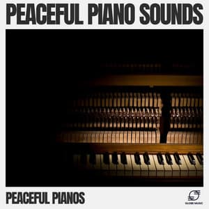 Peaceful Piano Sounds - Peaceful Pianos
