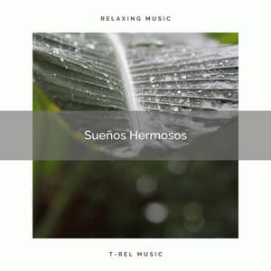 1 Sueños Hermosos - Música ambiental relajante