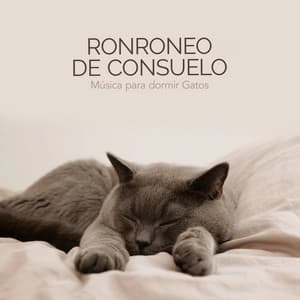 Ronroneo de Consuelo - Música para dormir Gatos