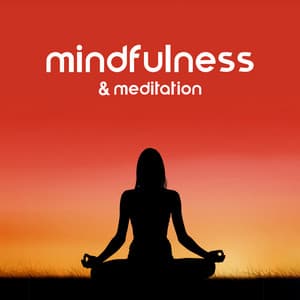 Mindfulness & Meditation: Relaxing Music for Mindfulness, Yoga, Reiki, Managing Anxiety, Healing Mantras for Perfect Harmony - Marie Gade