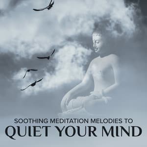 Soothing Meditation Melodies to Quiet Your Mind. Deep Zen Meditation with Relaxing New Age Background Music, Mind Reset, Spiritual Retreat, Mindfulness, Inner Harmony - Project!Yoga Meditation