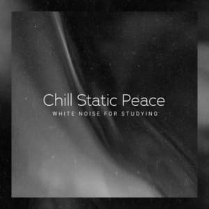 Chill Static Peace - White Noise for Studying