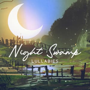 Night Swamp Lullabies - Quiet Music Oasis